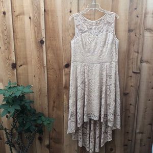Beige Lace 3XL/ 16-18 Maudress